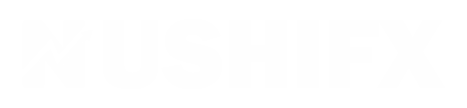 nushi fx logo